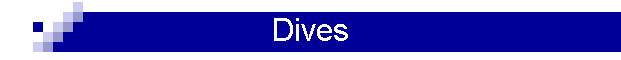 Dives
